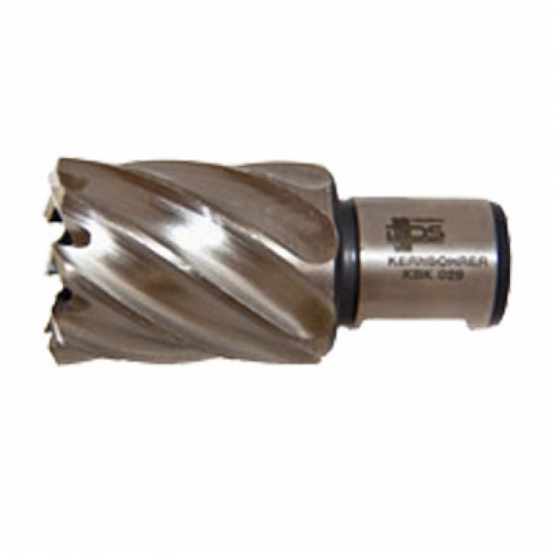 FRESA DIAM 80MMX55MM WELDON SHANK 32